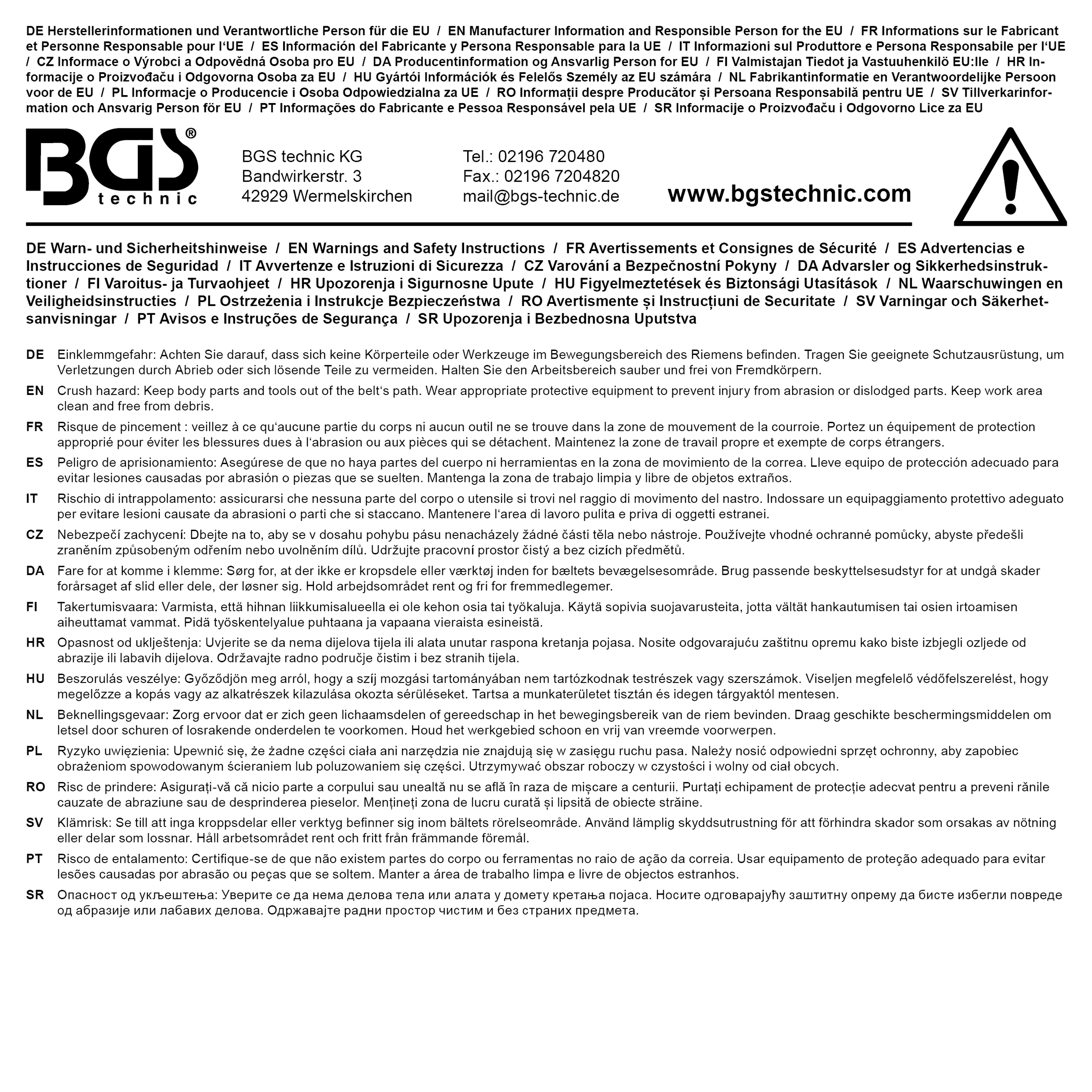 BGS Flexriemen-Montagewerkzeug für Citroen, Fiat, Ford, Mitsubishi, Peugeot